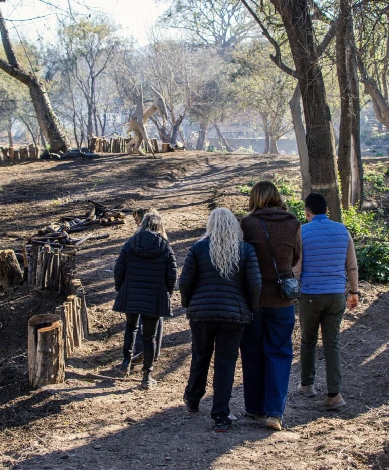 Un nuevo paseo para disfrutar en familia: el Parque Botánico de San Antonio abre sus puertas este fin de semana