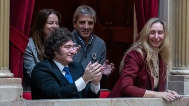 El patrimonio de Milei alcanzó los $295 millones: cuánto declaró y qué explica el aumento