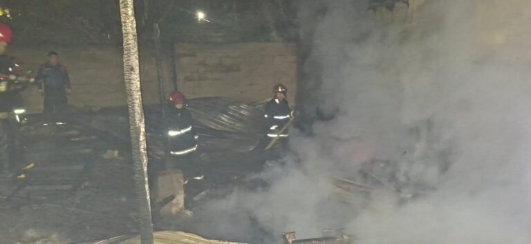 Incendio destruyó por completo una carpintería durante la noche en la Capital