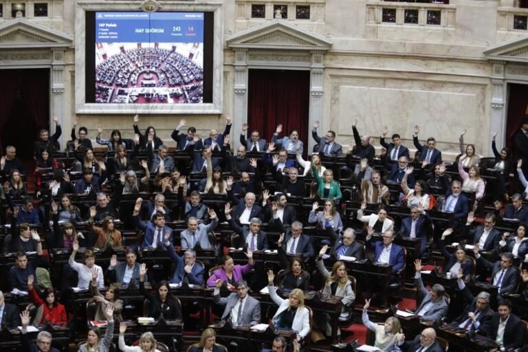 Diputados: avanzan los debates sobre discapacidad y el endeudamiento de las familias