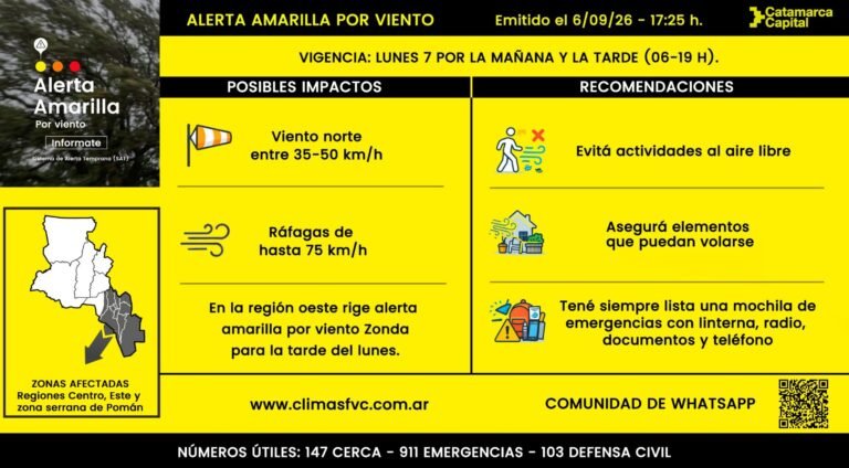 Alerta amarilla por fuertes vientos: anticipan ráfagas de hasta 75 km/h en la Capital