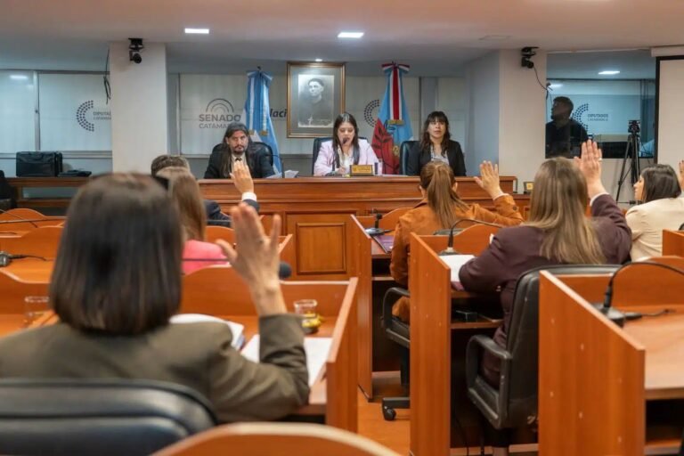 Obras, seguridad y producción: los temas que marcaron la sesión del Senado catamarqueño